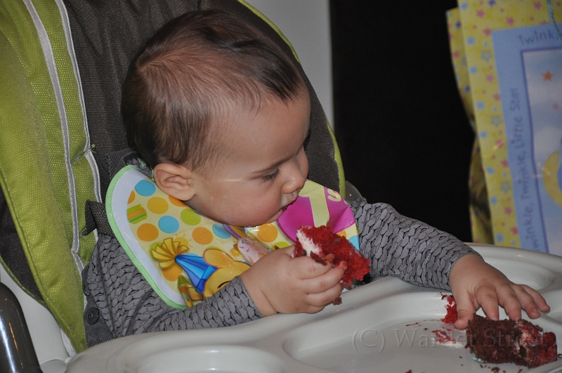 Tyler's First Birthday 28.jpg